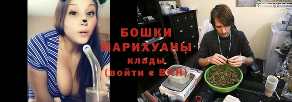 мдпв Володарск