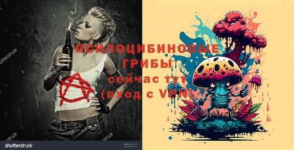 мдпв Володарск
