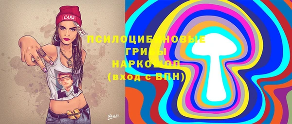мдпв Володарск