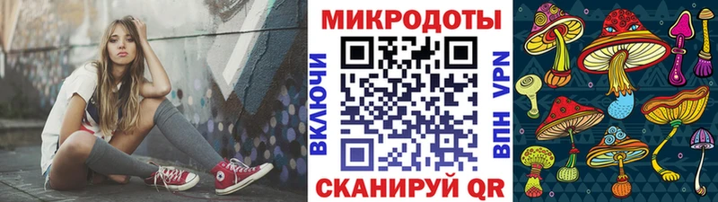 Псилоцибиновые грибы Psilocybine cubensis  Всеволожск 
